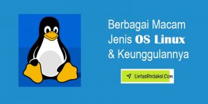 Berbagai Macam Jenis Sistem Operasi Linux dan Keunggulannya