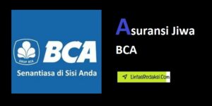 Asuransi Jiwa BCA dan Tips Mendapatkan serta Bagaimana Cara Kerja Asuransi Jiwa dari BCA