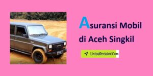 Asuransi Mobil di Aceh Singkil dan Cara Memilih Penyedia yang Mumpuni serta Tips Menurunkan Premi Asuransi Kendaraan di Kabupaten Aceh Singkil