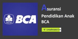 Asuransi Pendidikan Anak BCA dan Kenapa Kita Wajib Memiliki Asuransi Pendidikan Anak dari BCA