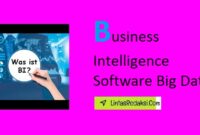 Business Intelligence Software Big Data and Leveraging BI Software for Competitive Advantage