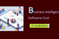 Business Intelligence Software Cost Estimates and Navigating BI Software Pricing Models