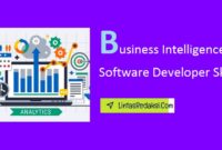 Business Intelligence Software Developer Skills and The Complexities of Developing Effective BI Solutions