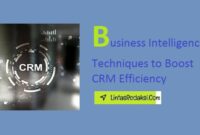 Business Intelligence Techniques to Boost CRM Efficiency and Enhancing Customer Journey Mapping with BI Techniques and CRM