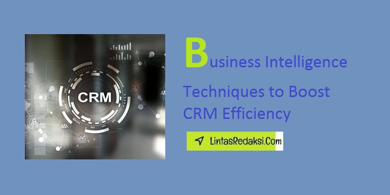 Business Intelligence Techniques to Boost CRM Efficiency and Enhancing Customer Journey Mapping with BI Techniques and CRM