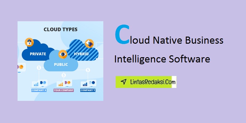 Cloud Native Business Intelligence Software and How Cloud Native BI Software Differs from Traditional BI Systems